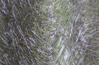 Clifton Moor fibreglass roof work